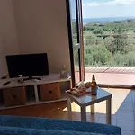Stella *